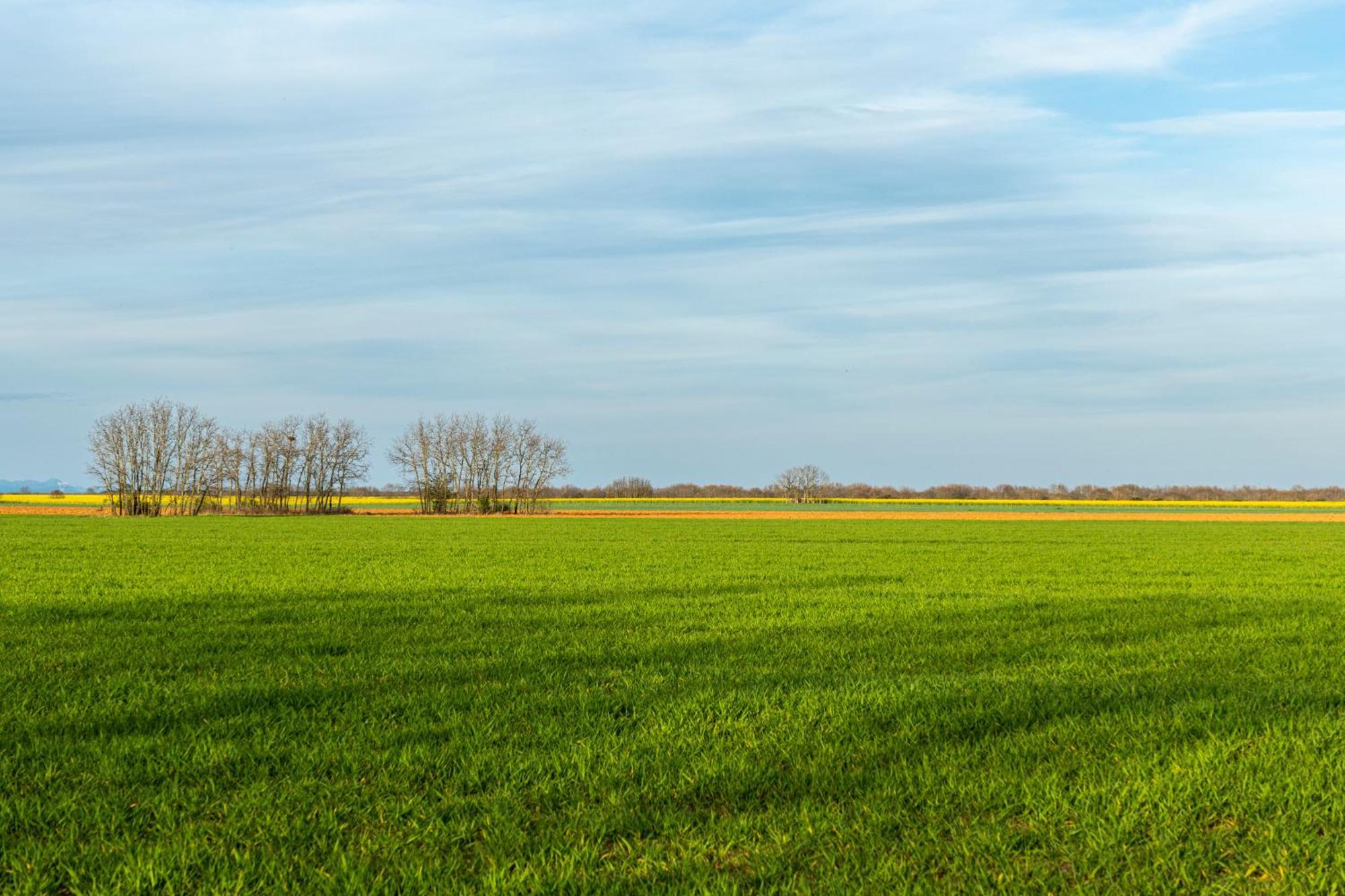 Descubre La Cepedana: Casa Rural Con Encanto En Cogorderos, A Solo 10 Km De Astorga Exteriér fotografie